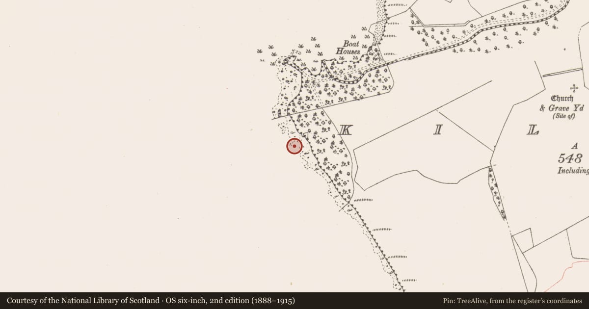 Ordnance Survey six-inch map, 2nd edition (1888–1915) covering the location of Crannog, Kiltoom, County Westmeath, with a pin at the register's coordinates