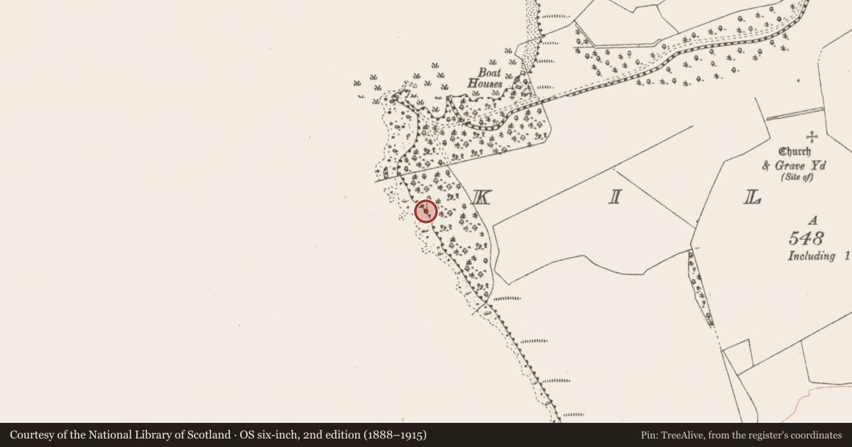Ordnance Survey six-inch map, 2nd edition (1888–1915) covering the location of Crannog, Kiltoom, County Westmeath, with a pin at the register's coordinates