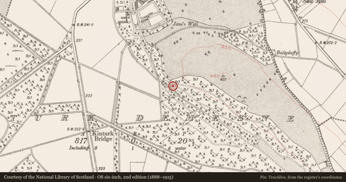 Ordnance Survey six-inch map, 2nd edition (1888–1915) covering the location of Ritual site - holy well, Kinturk Demesne, County Westmeath, with a pin at the register's coordinates