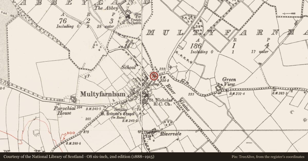 Ordnance Survey six-inch map, 2nd edition (1888–1915) covering the location of Bridge, County Westmeath, with a pin at the register's coordinates