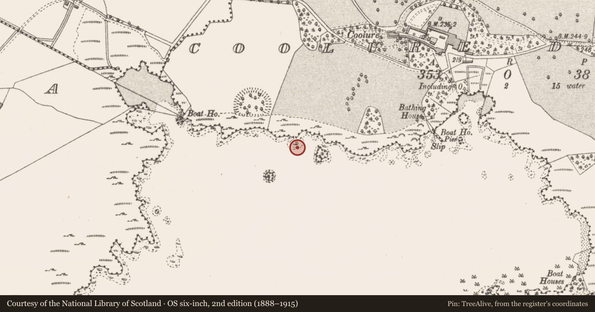 Ordnance Survey six-inch map, 2nd edition (1888–1915) covering the location of Crannog, Coolure Demesne, County Westmeath, with a pin at the register's coordinates