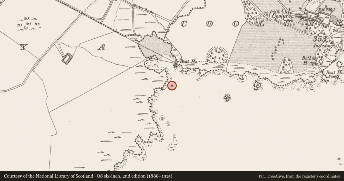 Ordnance Survey six-inch map, 2nd edition (1888–1915) covering the location of Settlement platform, Derrya, County Westmeath, with a pin at the register's coordinates
