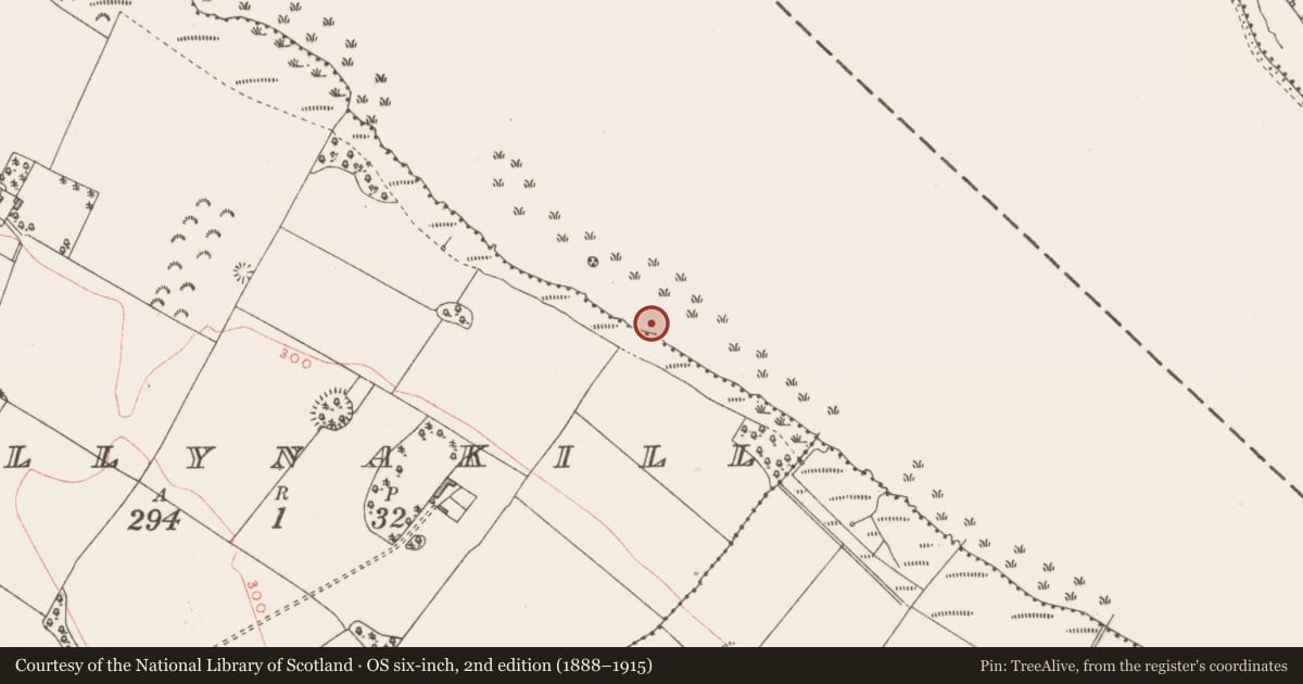 Ordnance Survey six-inch map, 2nd edition (1888–1915) covering the location of Crannog, Ballynakill, County Westmeath, with a pin at the register's coordinates