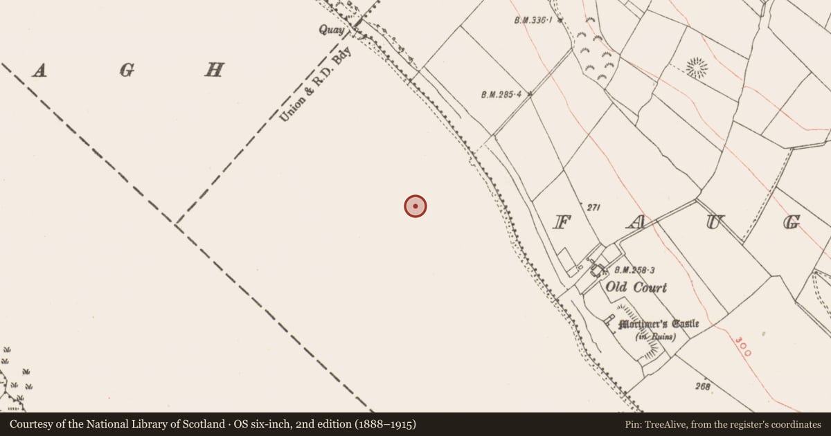 Ordnance Survey six-inch map, 2nd edition (1888–1915) covering the location of Crannog, Faughalstown, County Westmeath, with a pin at the register's coordinates