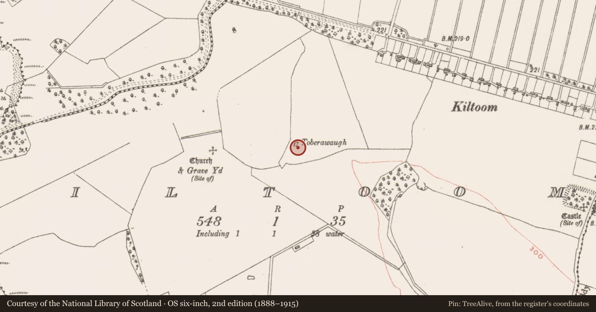 Ordnance Survey six-inch map, 2nd edition (1888–1915) covering the location of Ritual site - holy well, Kiltoom, County Westmeath, with a pin at the register's coordinates