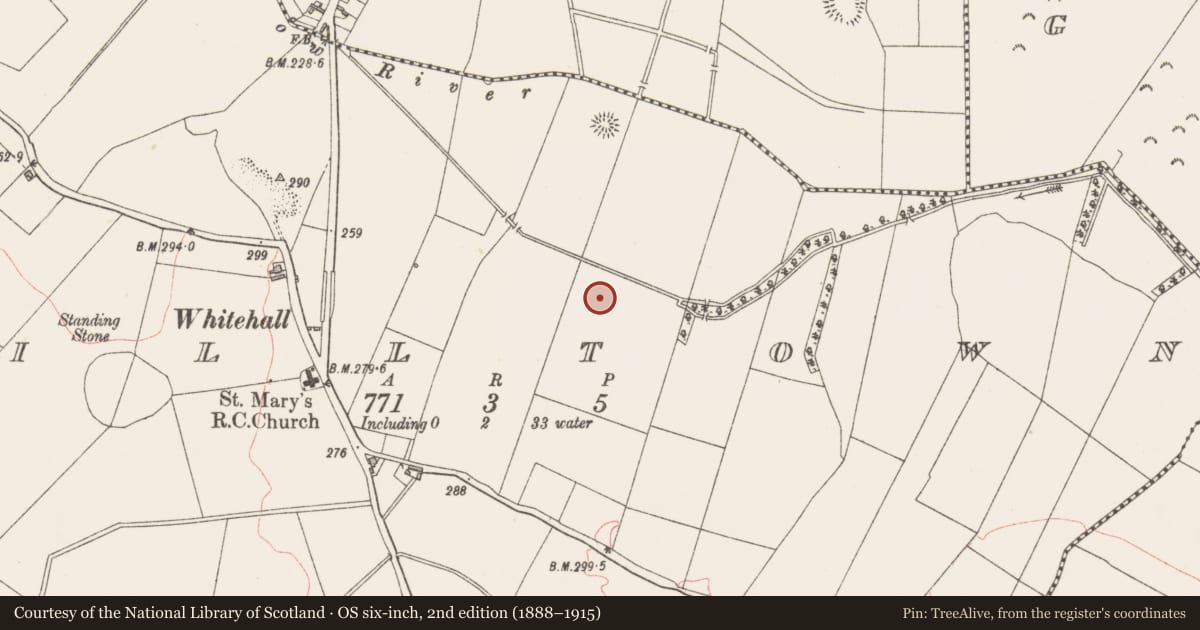 Ordnance Survey six-inch map, 2nd edition (1888–1915) covering the location of Enclosure, Milltown, County Westmeath, with a pin at the register's coordinates