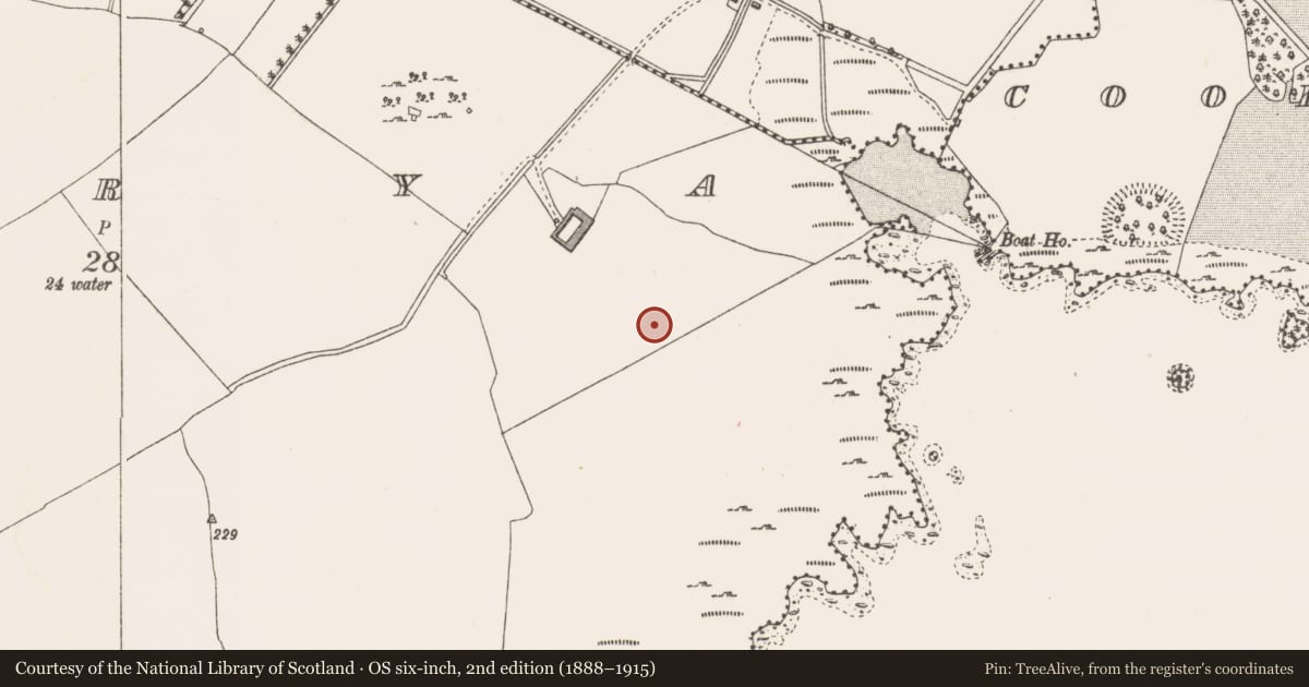 Ordnance Survey six-inch map, 2nd edition (1888–1915) covering the location of Ringfort - rath, Derrya, County Westmeath, with a pin at the register's coordinates