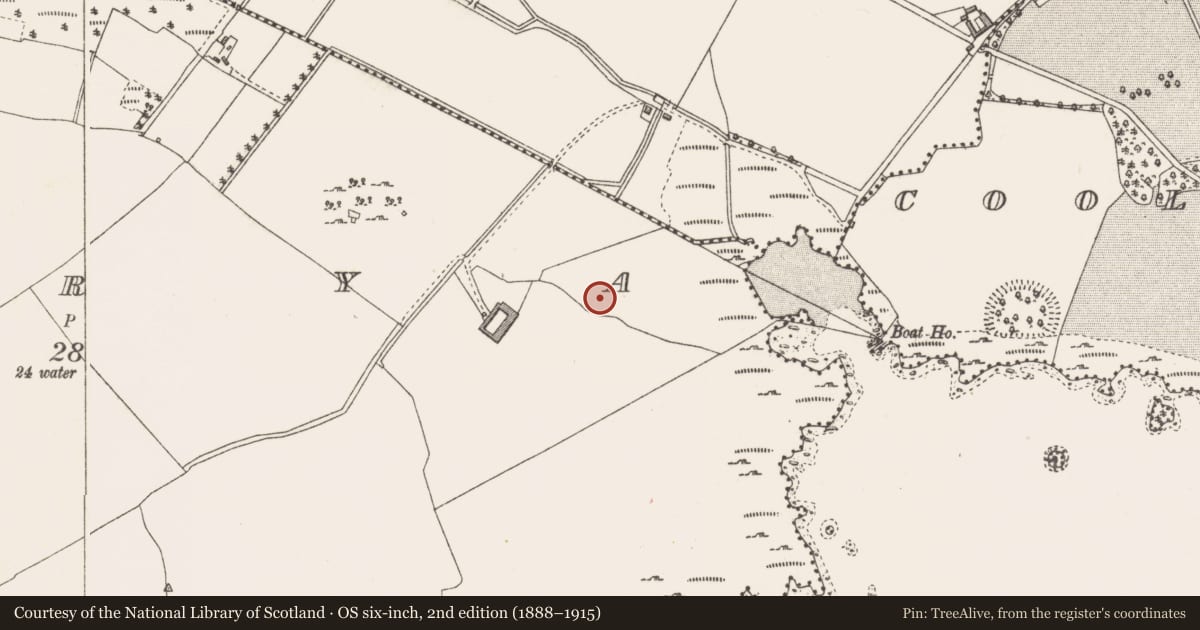 Ordnance Survey six-inch map, 2nd edition (1888–1915) covering the location of Moated site, Derrya, County Westmeath, with a pin at the register's coordinates