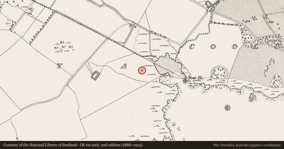 Ordnance Survey six-inch map, 2nd edition (1888–1915) covering the location of Barrow - ditch barrow, Derrya, County Westmeath, with a pin at the register's coordinates