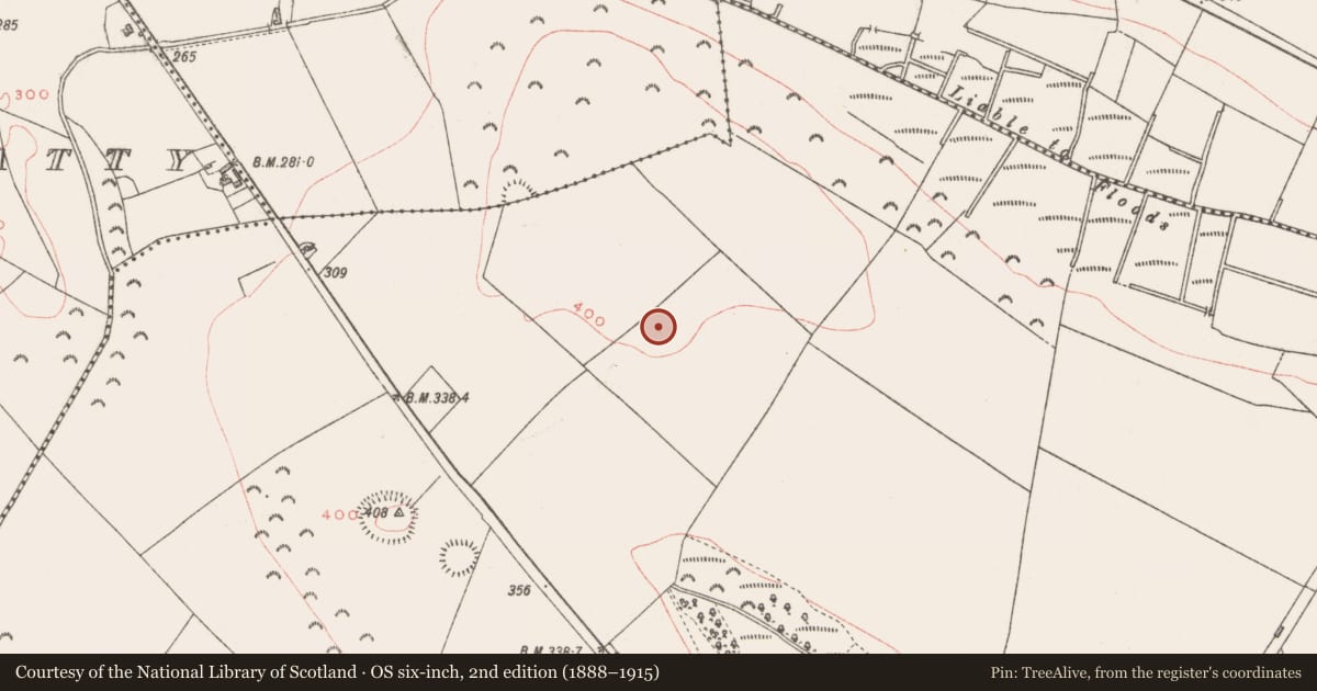 Ordnance Survey six-inch map, 2nd edition (1888–1915) covering the location of Earthwork, Gillardstown, County Westmeath, with a pin at the register's coordinates