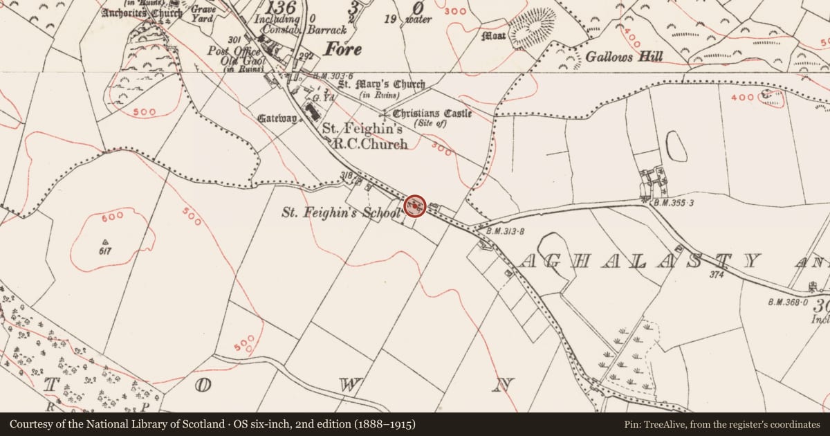 Ordnance Survey six-inch map, 2nd edition (1888–1915) covering the location of Cross - Wayside cross, Windtown, County Westmeath, with a pin at the register's coordinates
