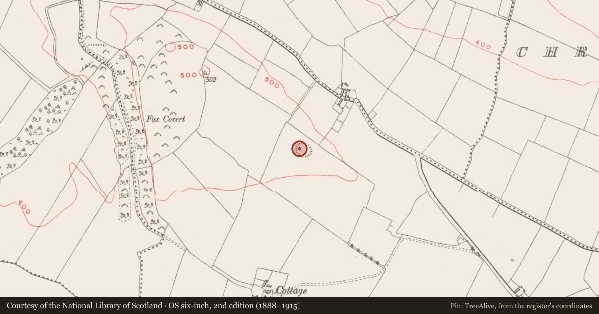 Ordnance Survey six-inch map, 2nd edition (1888–1915) covering the location of Hut site, Cummerstown, County Westmeath, with a pin at the register's coordinates