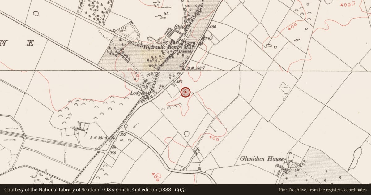 Ordnance Survey six-inch map, 2nd edition (1888–1915) covering the location of Ringfort - rath, Glenidan, County Westmeath, with a pin at the register's coordinates