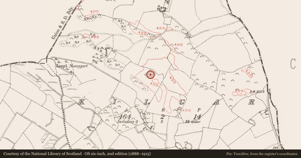 Ordnance Survey six-inch map, 2nd edition (1888–1915) covering the location of Ringfort - unclassified, Kilgar, County Westmeath, with a pin at the register's coordinates