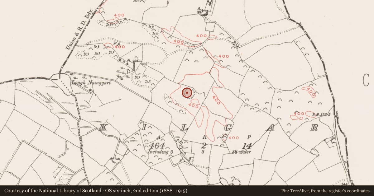 Ordnance Survey six-inch map, 2nd edition (1888–1915) covering the location of Hut site, Kilgar, County Westmeath, with a pin at the register's coordinates