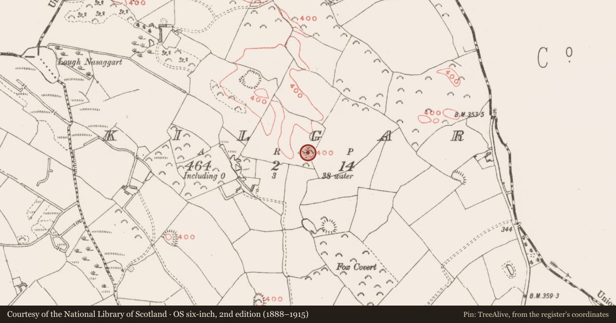 Ordnance Survey six-inch map, 2nd edition (1888–1915) covering the location of Hut site, Kilgar, County Westmeath, with a pin at the register's coordinates
