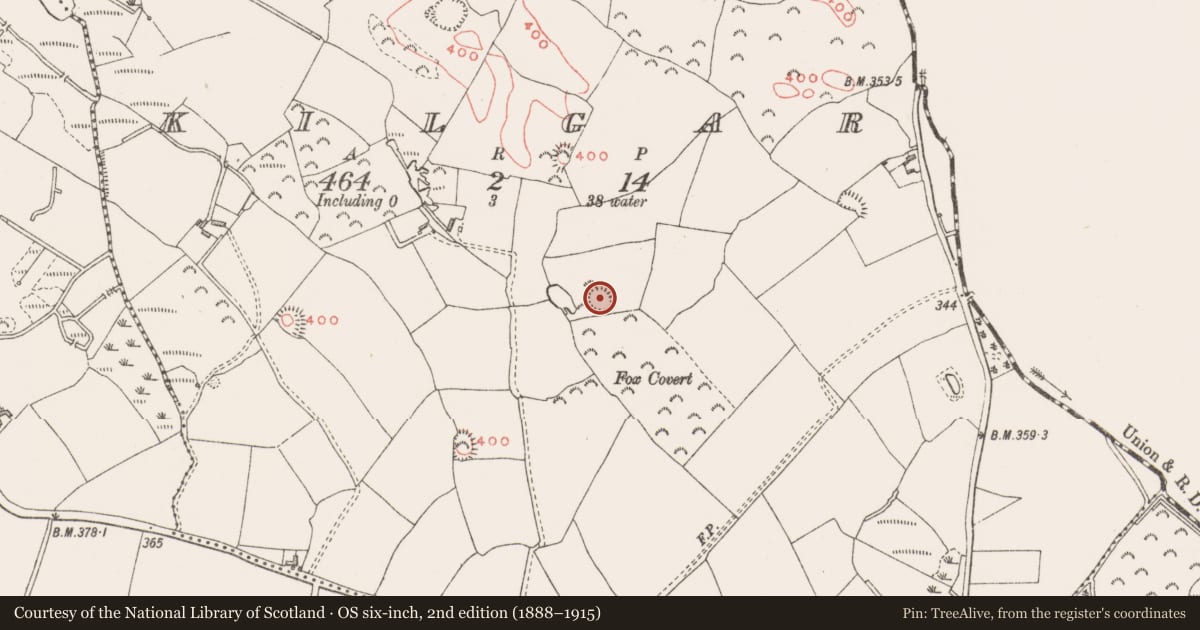 Ordnance Survey six-inch map, 2nd edition (1888–1915) covering the location of Ringfort - rath, Kilgar, County Westmeath, with a pin at the register's coordinates