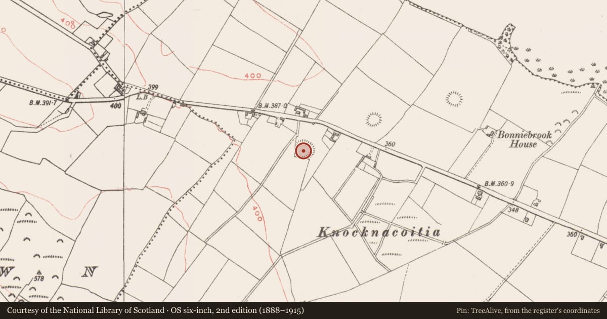 Ordnance Survey six-inch map, 2nd edition (1888–1915) covering the location of Ringfort - rath, Ranaghan, County Westmeath, with a pin at the register's coordinates
