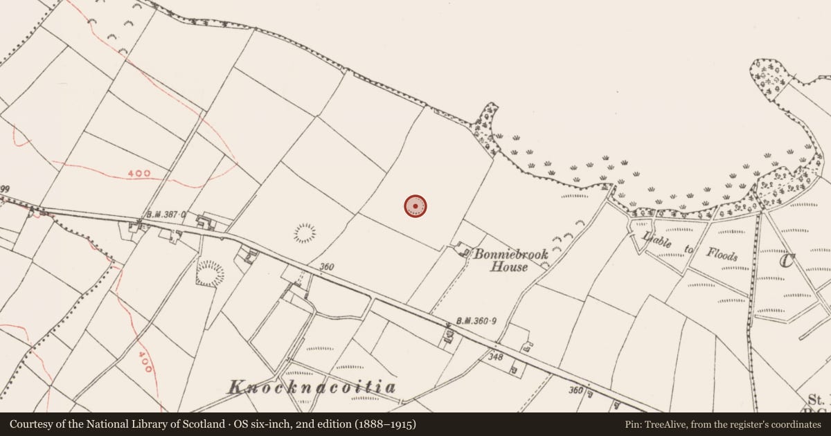 Ordnance Survey six-inch map, 2nd edition (1888–1915) covering the location of Ringfort - rath, Ranaghan, County Westmeath, with a pin at the register's coordinates