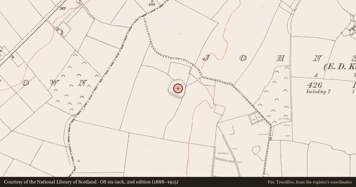 Ordnance Survey six-inch map, 2nd edition (1888–1915) covering the location of Ringfort - rath, Ballynagall, County Westmeath, with a pin at the register's coordinates