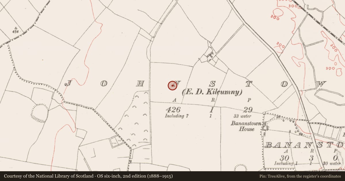 Ordnance Survey six-inch map, 2nd edition (1888–1915) covering the location of Castle - tower house, Johnstown, County Westmeath, with a pin at the register's coordinates