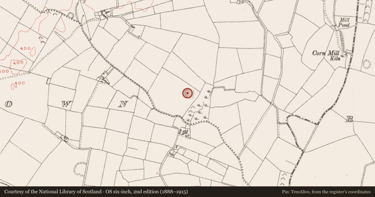 Ordnance Survey six-inch map, 2nd edition (1888–1915) covering the location of Ringfort - unclassified, Glenidan, County Westmeath, with a pin at the register's coordinates