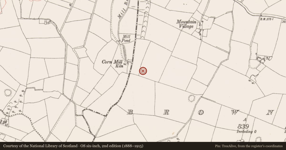 Ordnance Survey six-inch map, 2nd edition (1888–1915) covering the location of Ringfort - rath, Brownstown, County Westmeath, with a pin at the register's coordinates