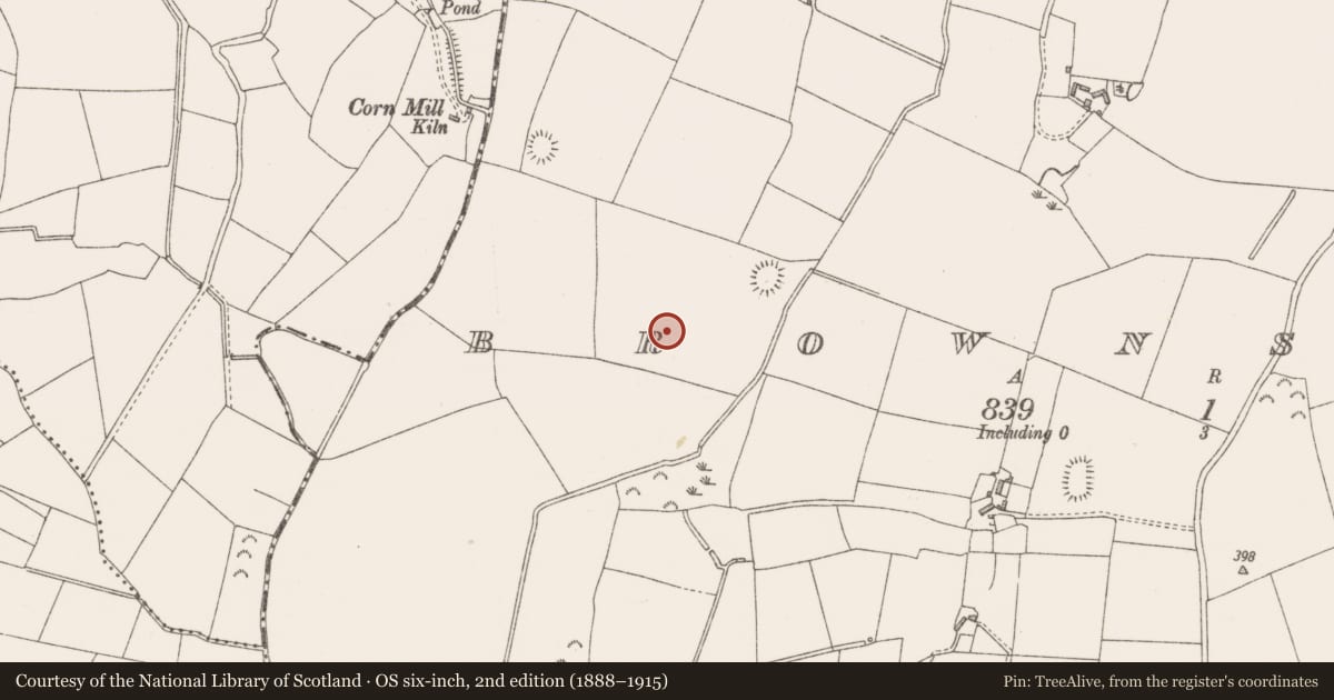 Ordnance Survey six-inch map, 2nd edition (1888–1915) covering the location of Ringfort - rath, Brownstown, County Westmeath, with a pin at the register's coordinates