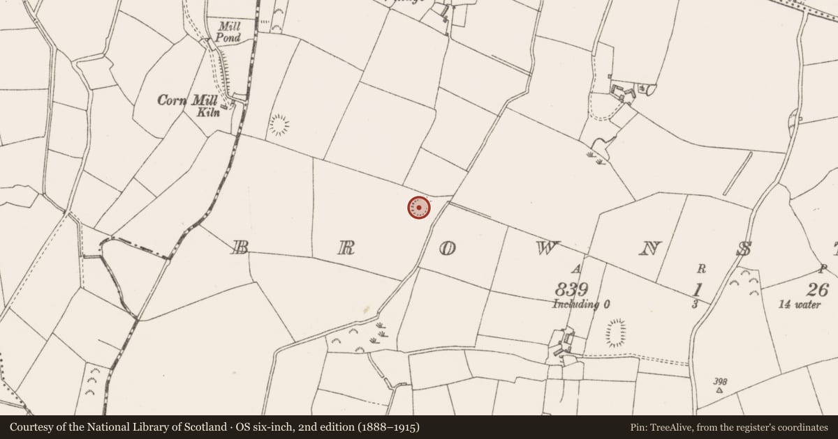 Ordnance Survey six-inch map, 2nd edition (1888–1915) covering the location of Ringfort - rath, Brownstown, County Westmeath, with a pin at the register's coordinates