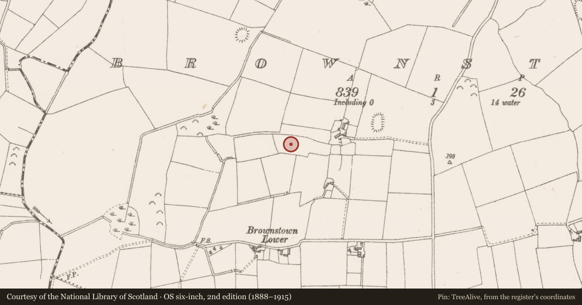 Ordnance Survey six-inch map, 2nd edition (1888–1915) covering the location of House - indeterminate date, Brownstown, County Westmeath, with a pin at the register's coordinates