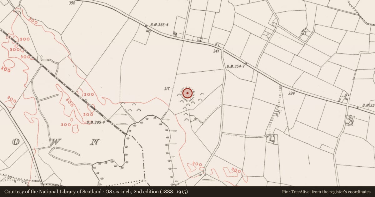 Ordnance Survey six-inch map, 2nd edition (1888–1915) covering the location of Ringfort - rath, Cummerstown, County Westmeath, with a pin at the register's coordinates