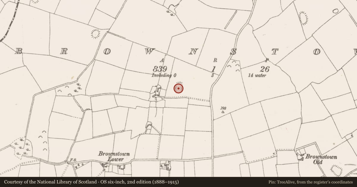 Ordnance Survey six-inch map, 2nd edition (1888–1915) covering the location of Ringfort - unclassified, Brownstown, County Westmeath, with a pin at the register's coordinates
