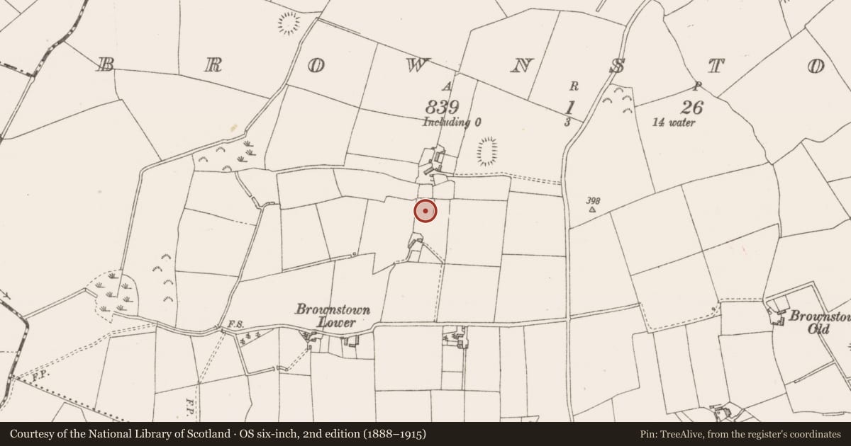Ordnance Survey six-inch map, 2nd edition (1888–1915) covering the location of Enclosure, Brownstown, County Westmeath, with a pin at the register's coordinates