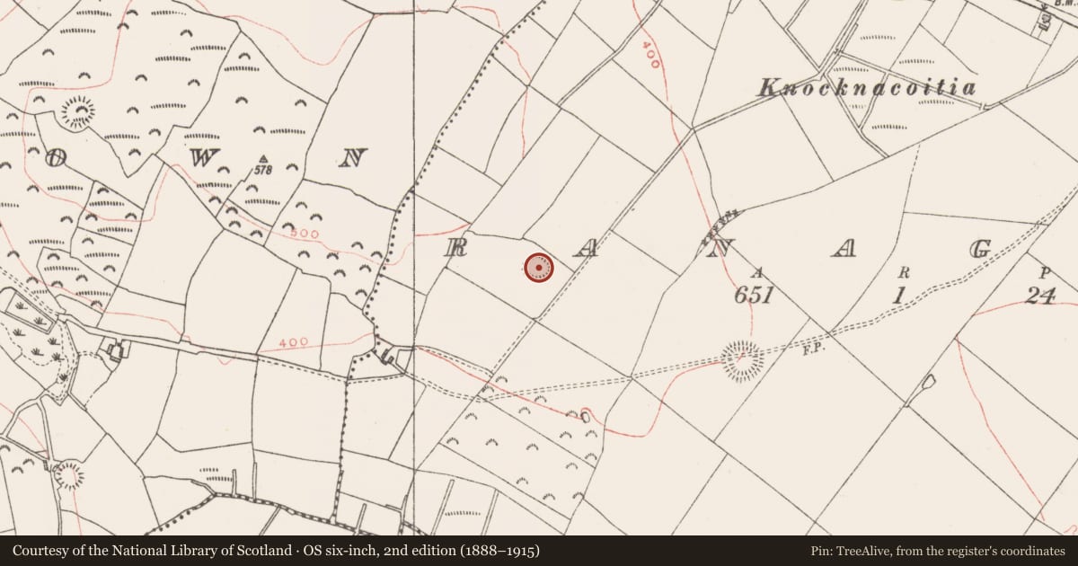 Ordnance Survey six-inch map, 2nd edition (1888–1915) covering the location of Ringfort - rath, Ranaghan, County Westmeath, with a pin at the register's coordinates