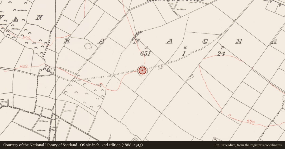 Ordnance Survey six-inch map, 2nd edition (1888–1915) covering the location of Ringfort - rath, Ranaghan, County Westmeath, with a pin at the register's coordinates