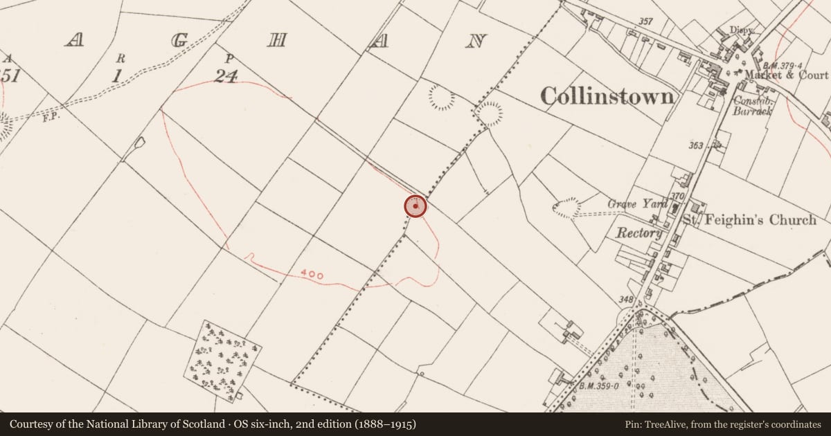 Ordnance Survey six-inch map, 2nd edition (1888–1915) covering the location of Ringfort - rath, Ranaghan, County Westmeath, with a pin at the register's coordinates