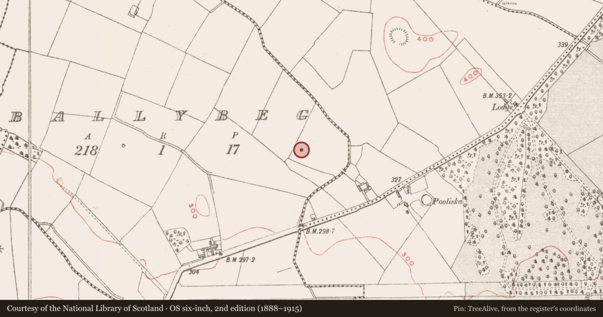 Ordnance Survey six-inch map, 2nd edition (1888–1915) covering the location of Earthwork, Ballybeg, County Westmeath, with a pin at the register's coordinates