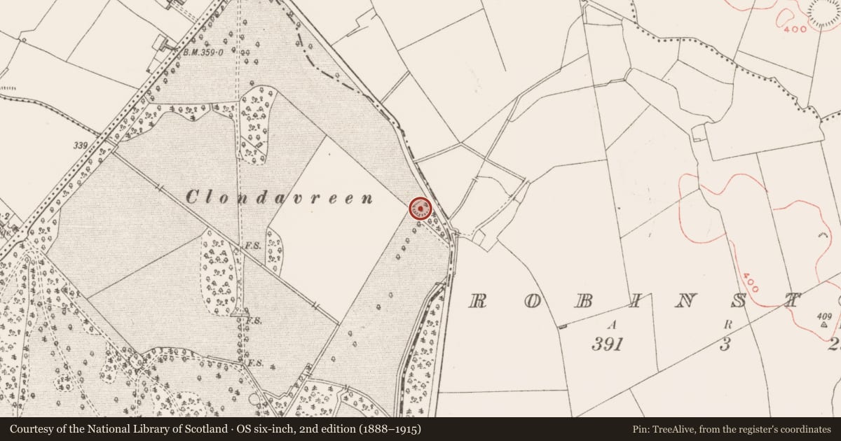 Ordnance Survey six-inch map, 2nd edition (1888–1915) covering the location of Ringfort - rath, Barbavilla Demesne, County Westmeath, with a pin at the register's coordinates