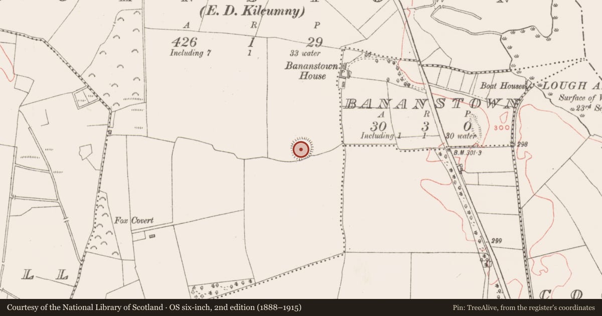 Ordnance Survey six-inch map, 2nd edition (1888–1915) covering the location of Ringfort - rath, Johnstown, County Westmeath, with a pin at the register's coordinates