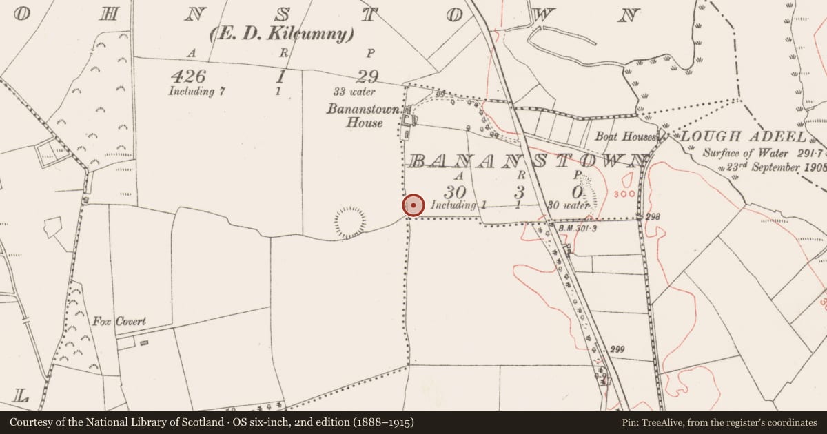 Ordnance Survey six-inch map, 2nd edition (1888–1915) covering the location of Ringfort - unclassified, Bananstown, County Westmeath, with a pin at the register's coordinates