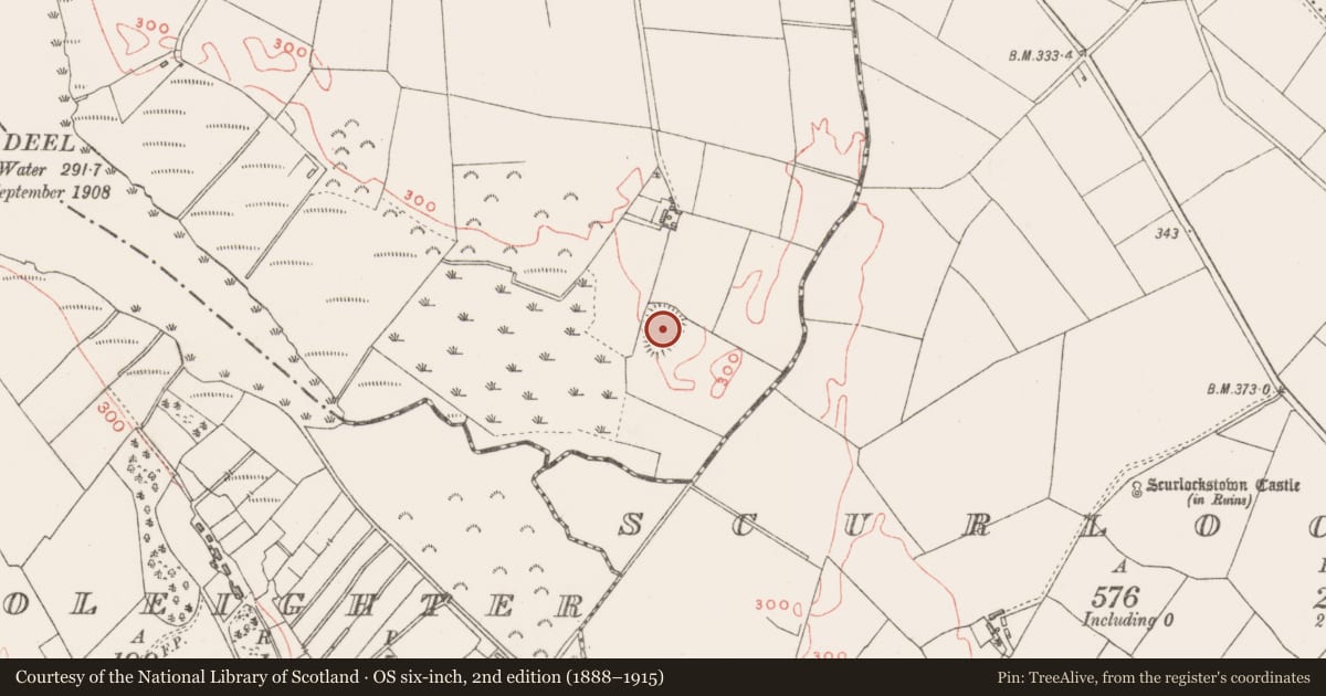 Ordnance Survey six-inch map, 2nd edition (1888–1915) covering the location of Ringfort - rath, Cummerstown, County Westmeath, with a pin at the register's coordinates
