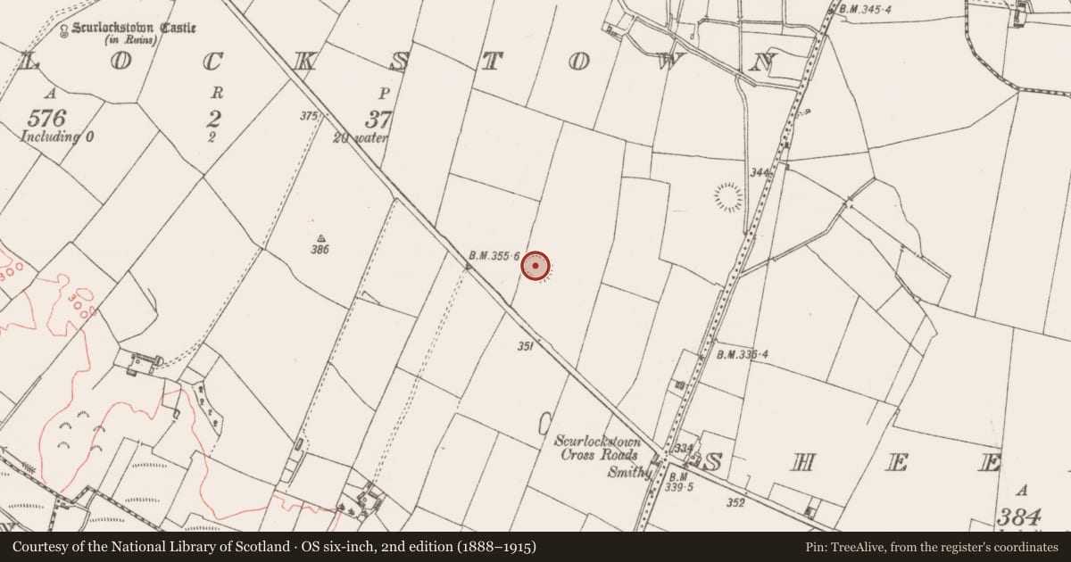 Ordnance Survey six-inch map, 2nd edition (1888–1915) covering the location of Ringfort - rath, Scurlockstown, County Westmeath, with a pin at the register's coordinates