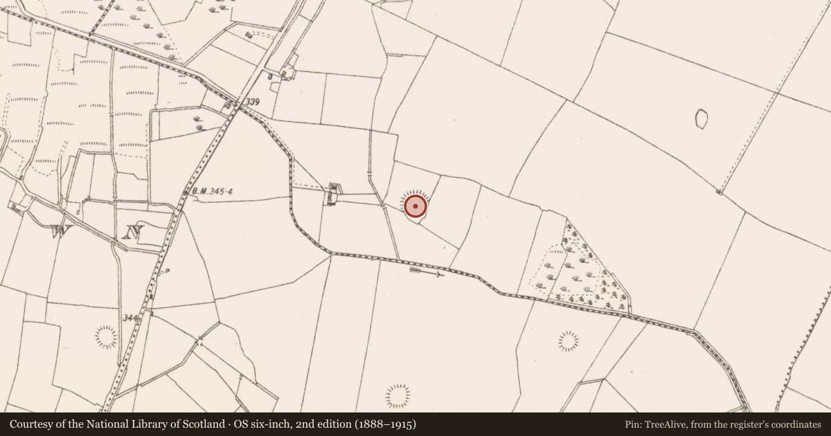 Ordnance Survey six-inch map, 2nd edition (1888–1915) covering the location of Ringfort - rath, Archerstown, County Westmeath, with a pin at the register's coordinates