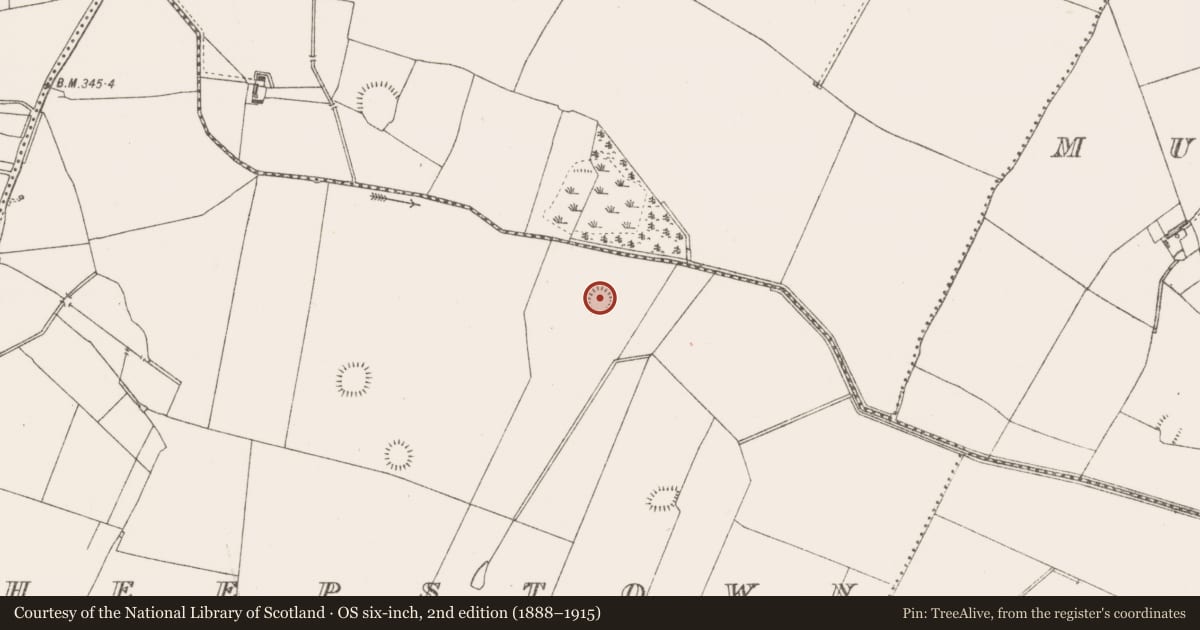 Ordnance Survey six-inch map, 2nd edition (1888–1915) covering the location of Ringfort - rath, Sheepstown, County Westmeath, with a pin at the register's coordinates
