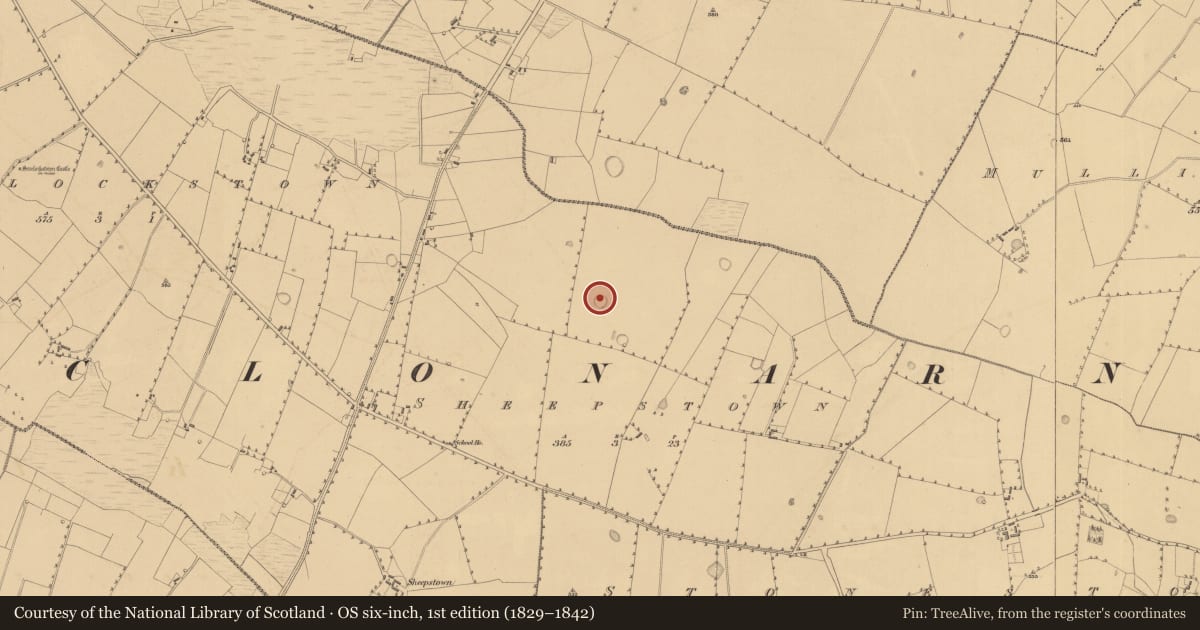 Ordnance Survey six-inch map, 1st edition (1829–1842) covering the location of Ringfort - rath, Sheepstown, County Westmeath, with a pin at the register's coordinates