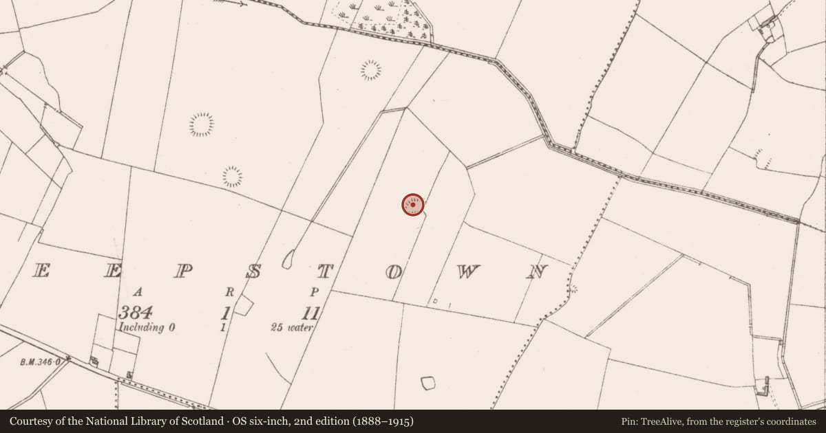 Ordnance Survey six-inch map, 2nd edition (1888–1915) covering the location of Moated site, Sheepstown, County Westmeath, with a pin at the register's coordinates