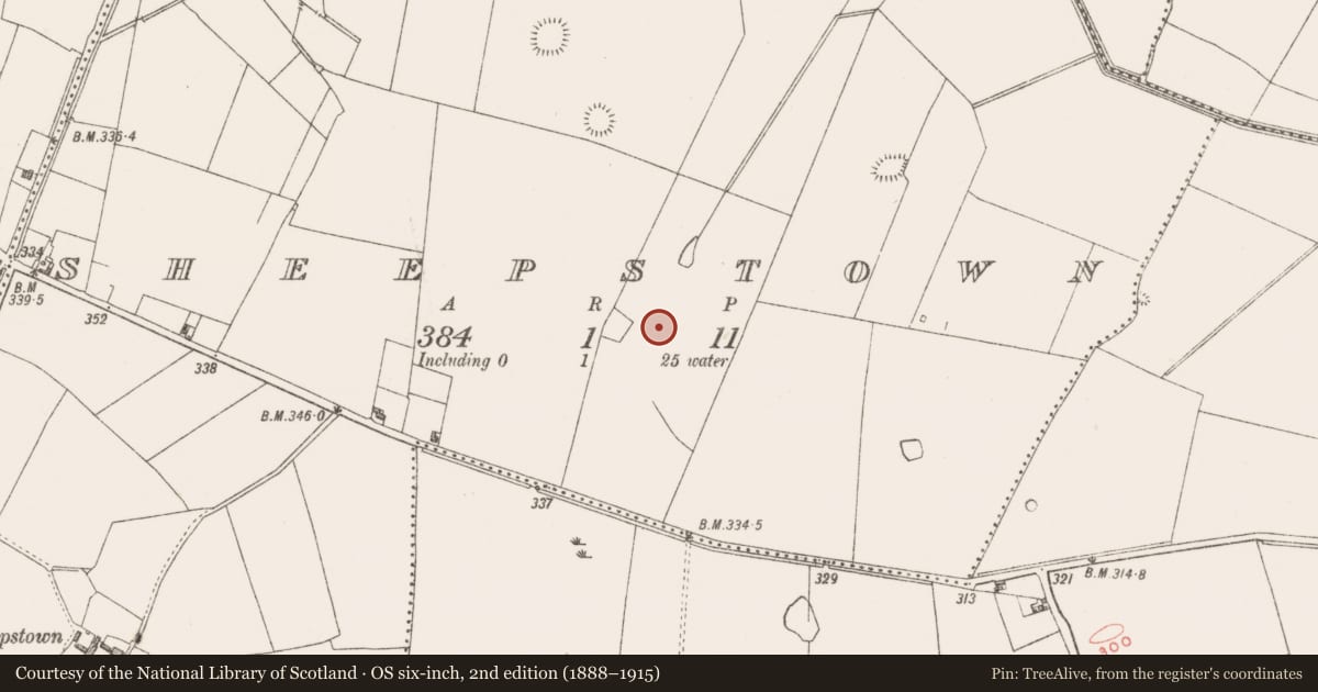 Ordnance Survey six-inch map, 2nd edition (1888–1915) covering the location of Settlement cluster, Sheepstown, County Westmeath, with a pin at the register's coordinates