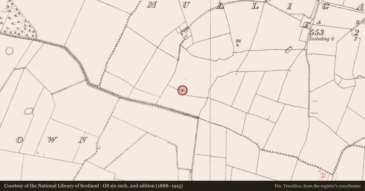 Ordnance Survey six-inch map, 2nd edition (1888–1915) covering the location of Ringfort - rath, Mulliganstown, County Westmeath, with a pin at the register's coordinates