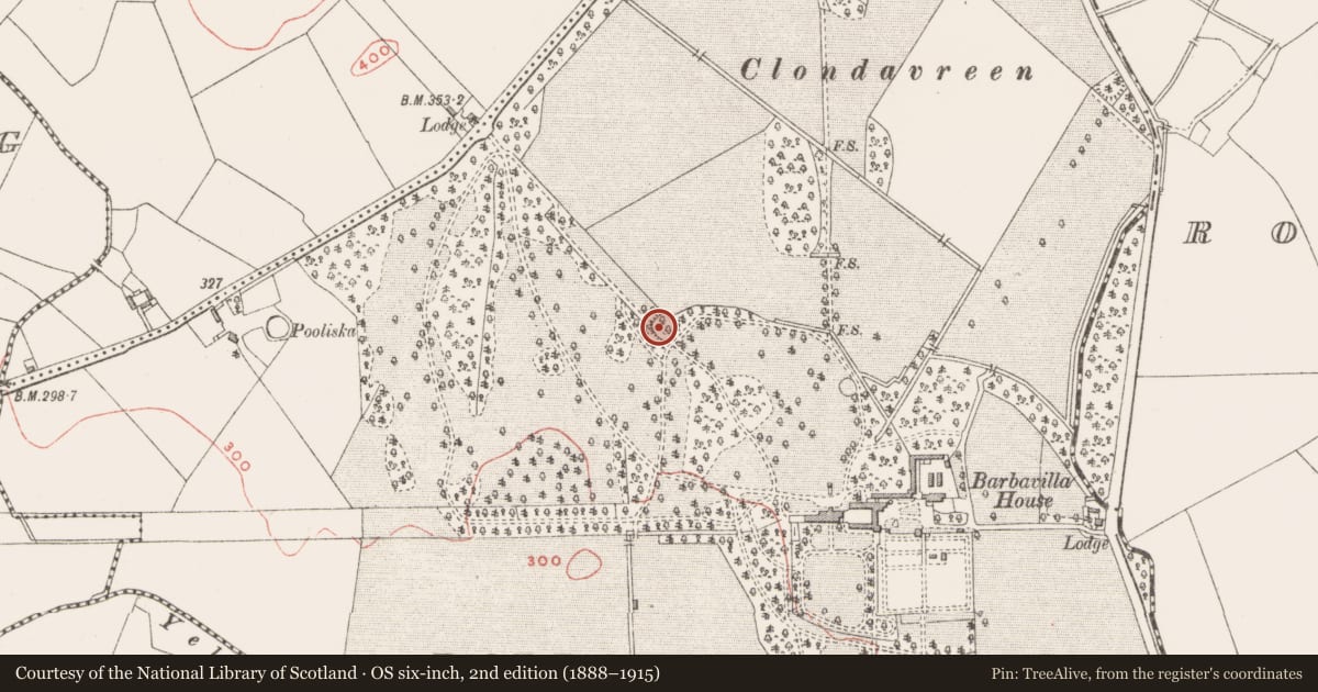 Ordnance Survey six-inch map, 2nd edition (1888–1915) covering the location of Ringfort - rath, Barbavilla Demesne, County Westmeath, with a pin at the register's coordinates