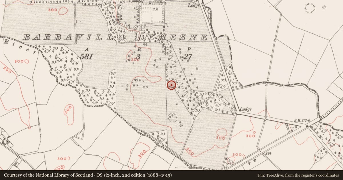 Ordnance Survey six-inch map, 2nd edition (1888–1915) covering the location of Ringfort - rath, Barbavilla Demesne, County Westmeath, with a pin at the register's coordinates